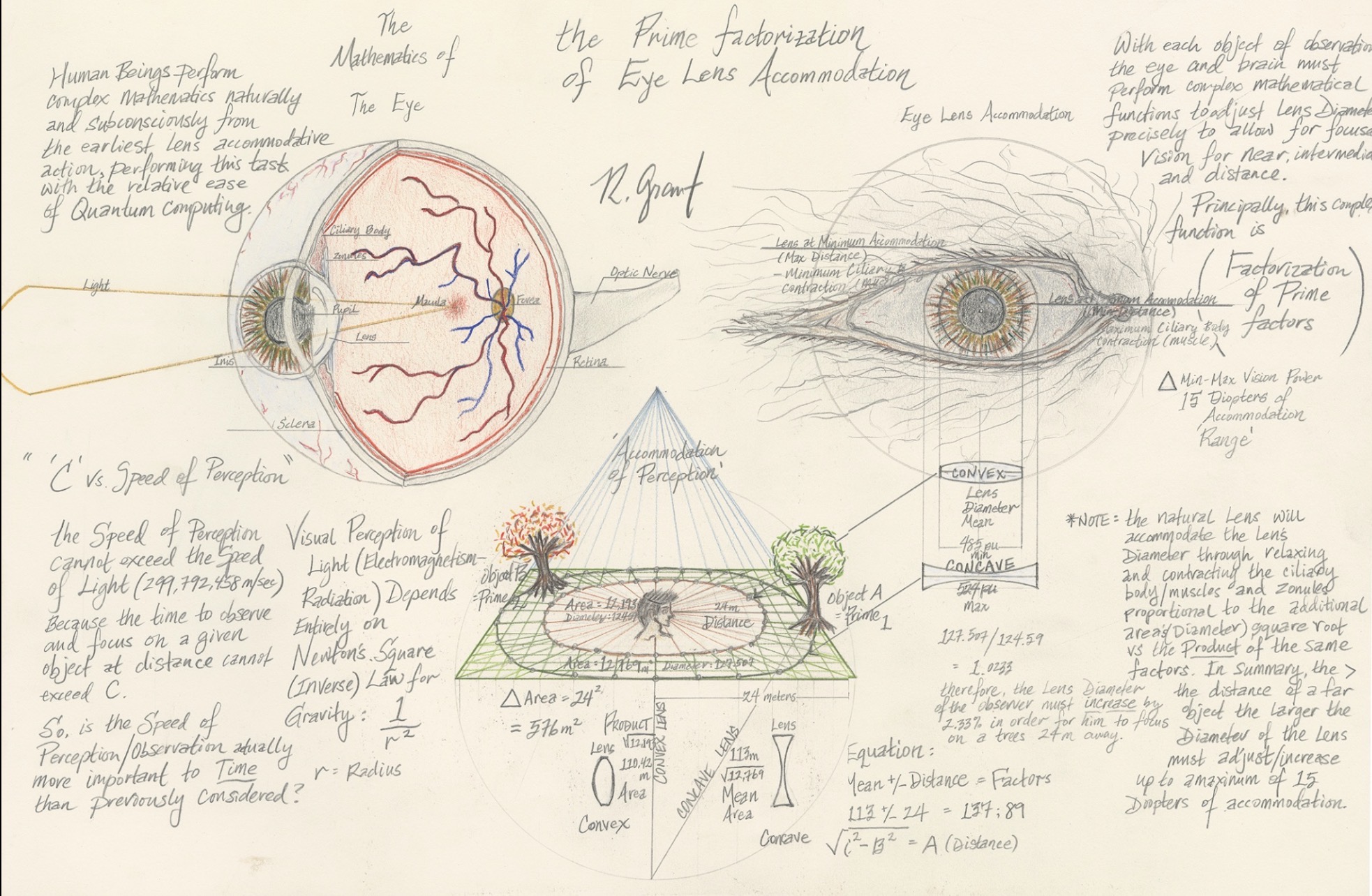 Mathematics of Eye Lens Accommodation — R. Grant